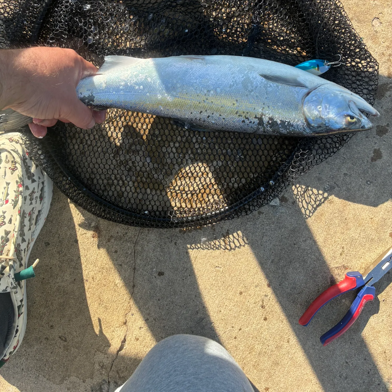 catch