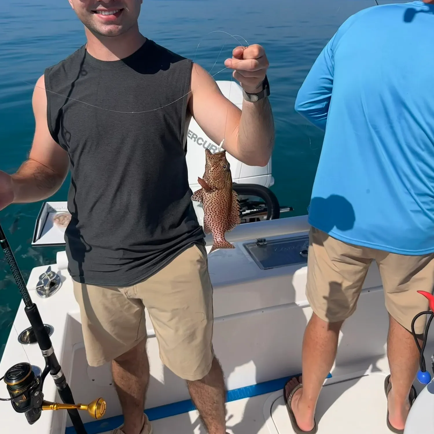 The most recent Graysby grouper catches on Fishbrain