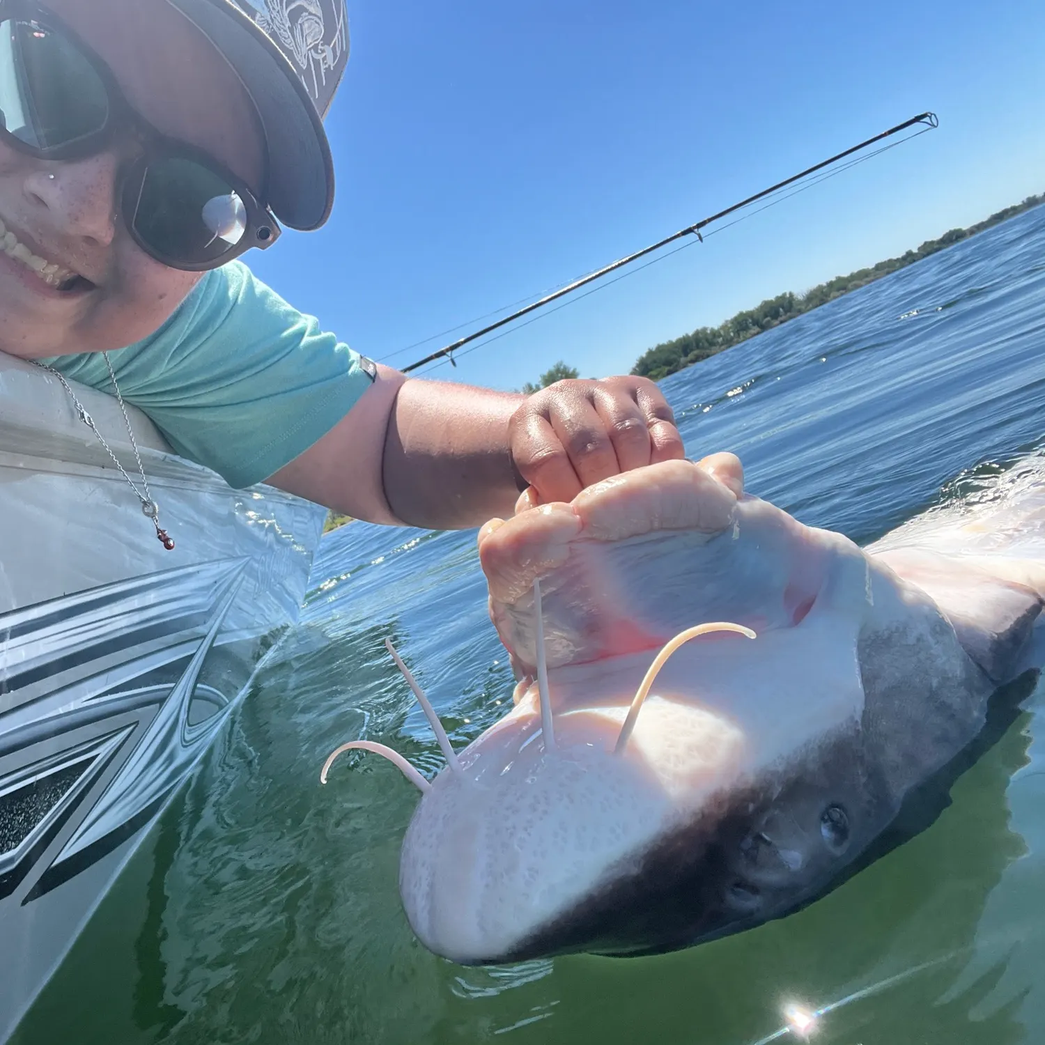 The most recent White sturgeon catches on Fishbrain