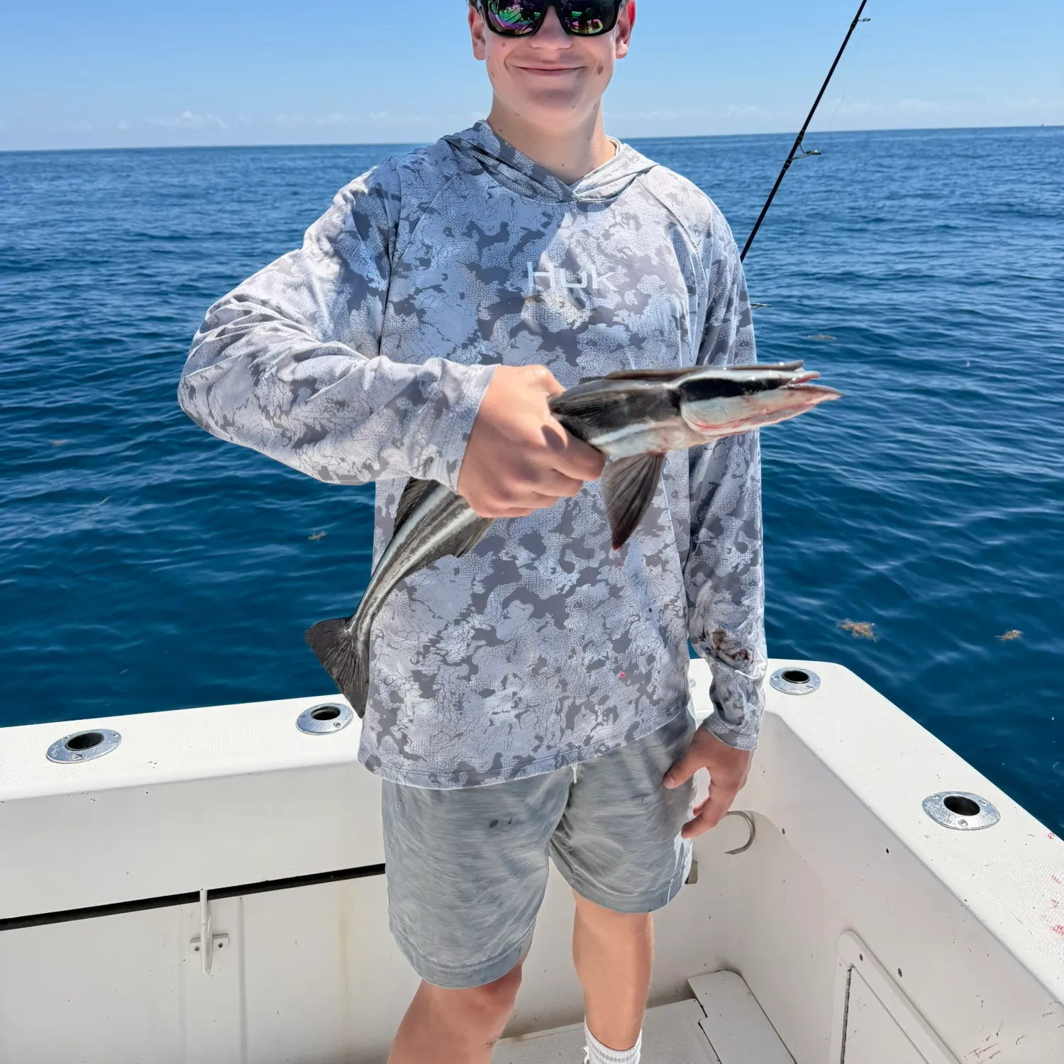 The most recent Common remora catches on Fishbrain