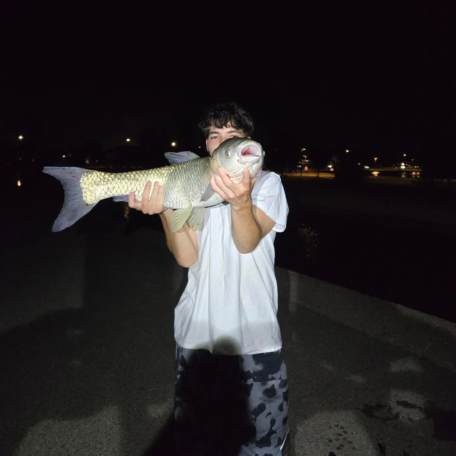 Grass carp caught on Fishbrain