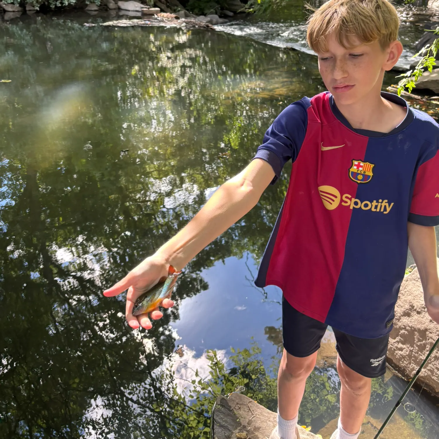 Redbreast sunfish caught on Fishbrain