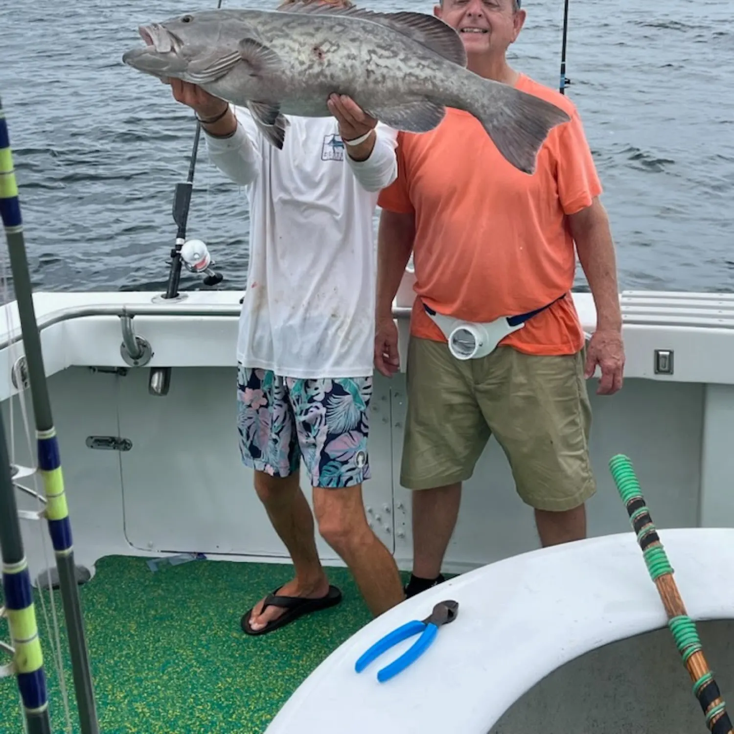 The most recent Gag grouper catches on Fishbrain