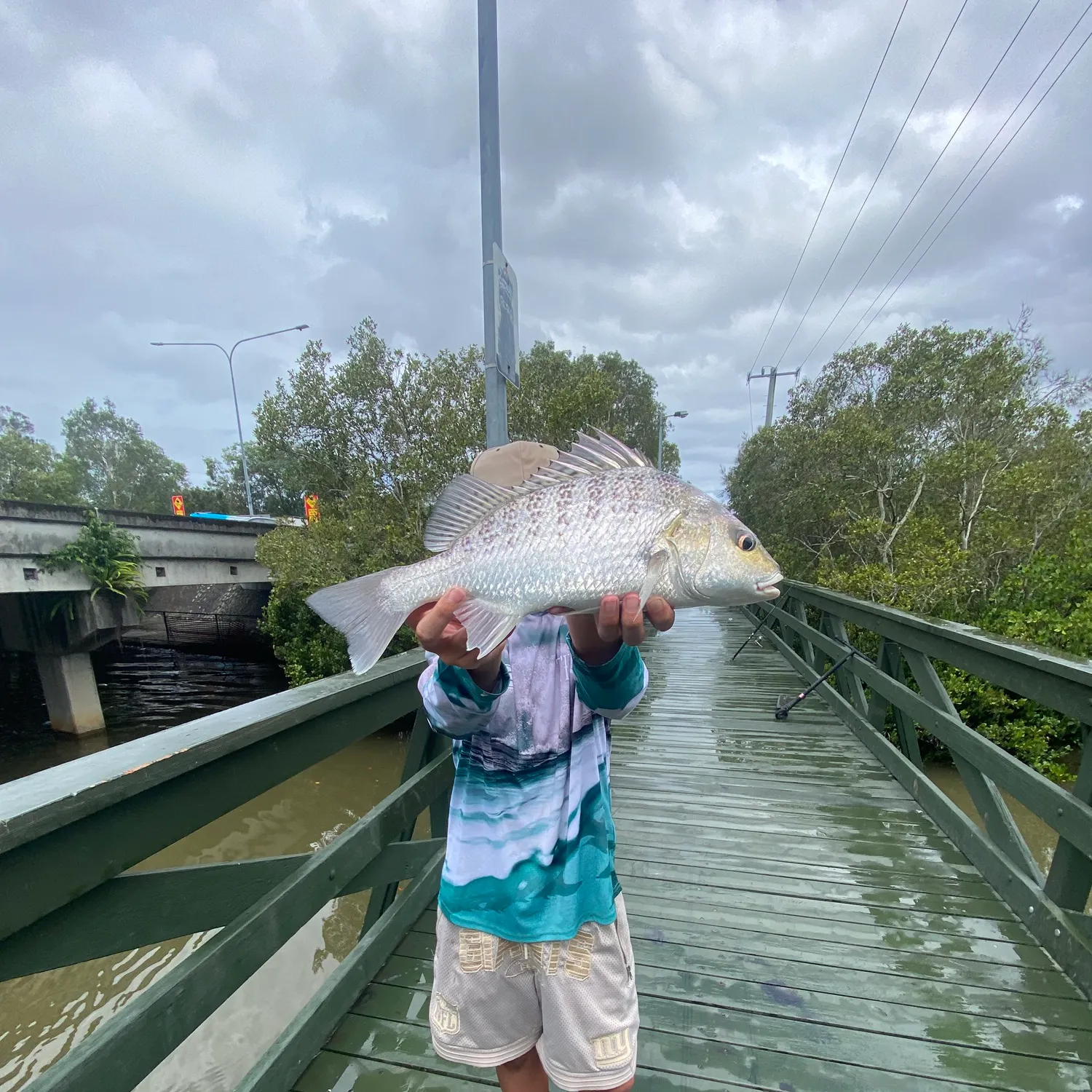 The most recent Javelin grunter catches on Fishbrain