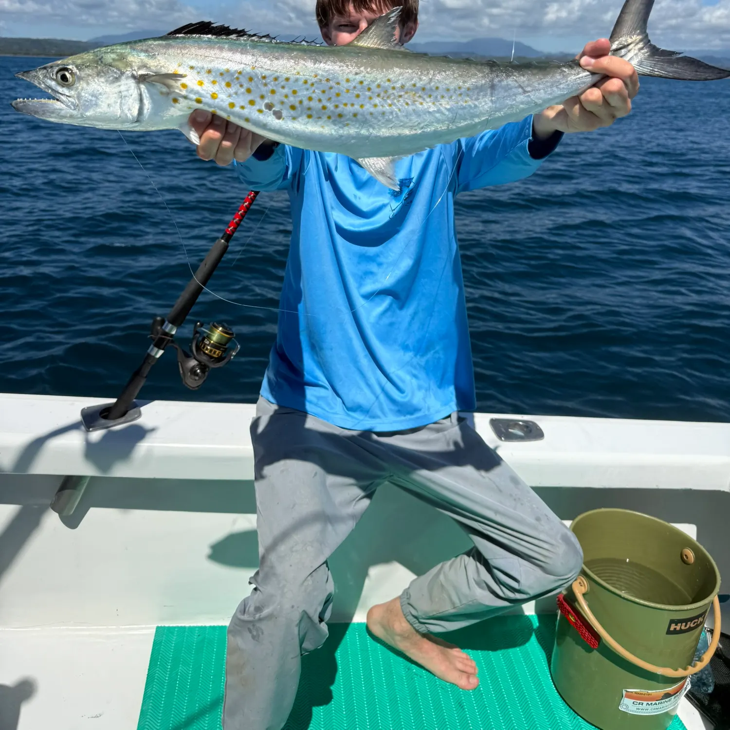 The most recent Pacific sierra catches on Fishbrain