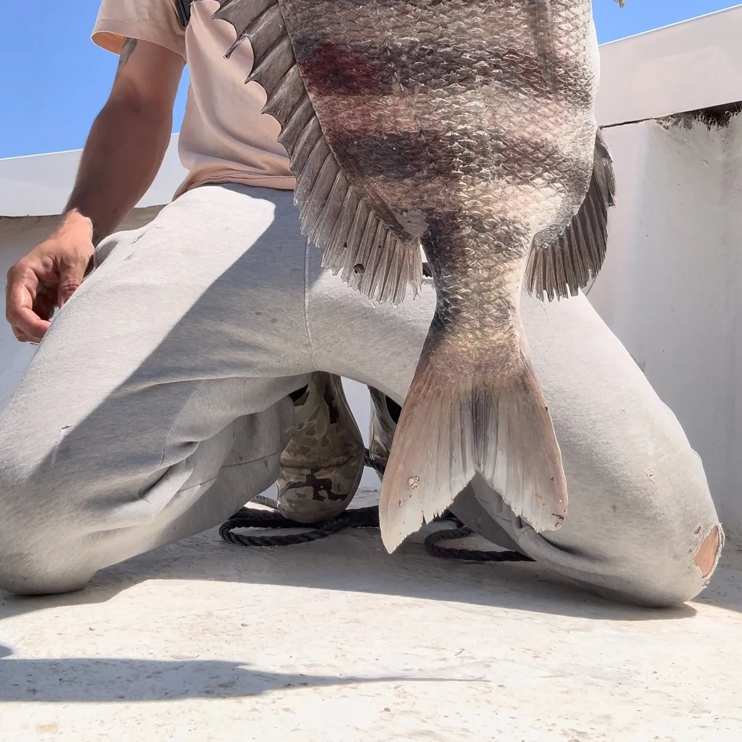 catch