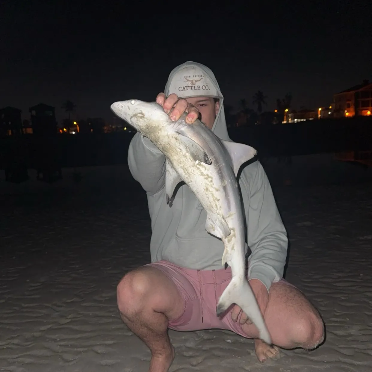 The most recent Blacktip shark catches on Fishbrain