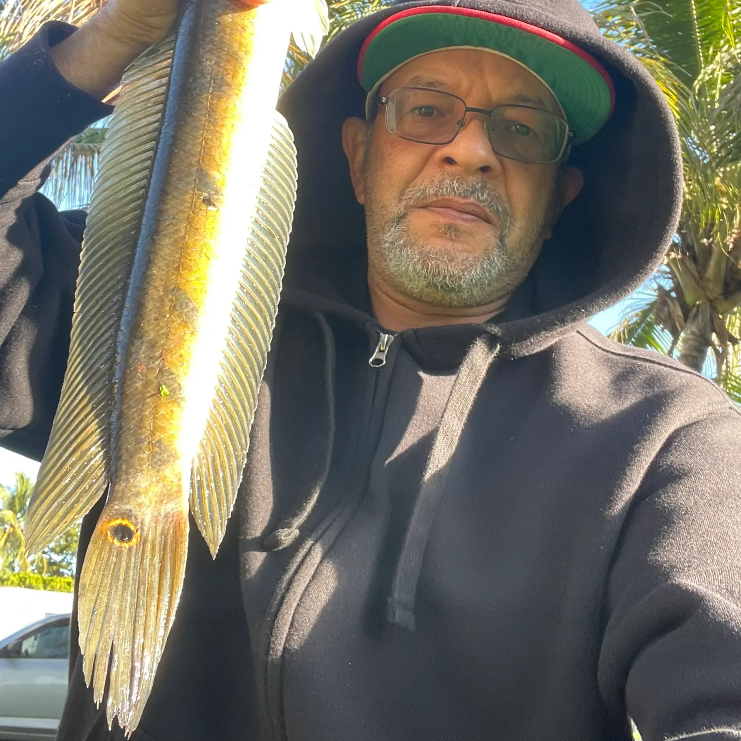 The most recent Bullseye snakehead catches on Fishbrain
