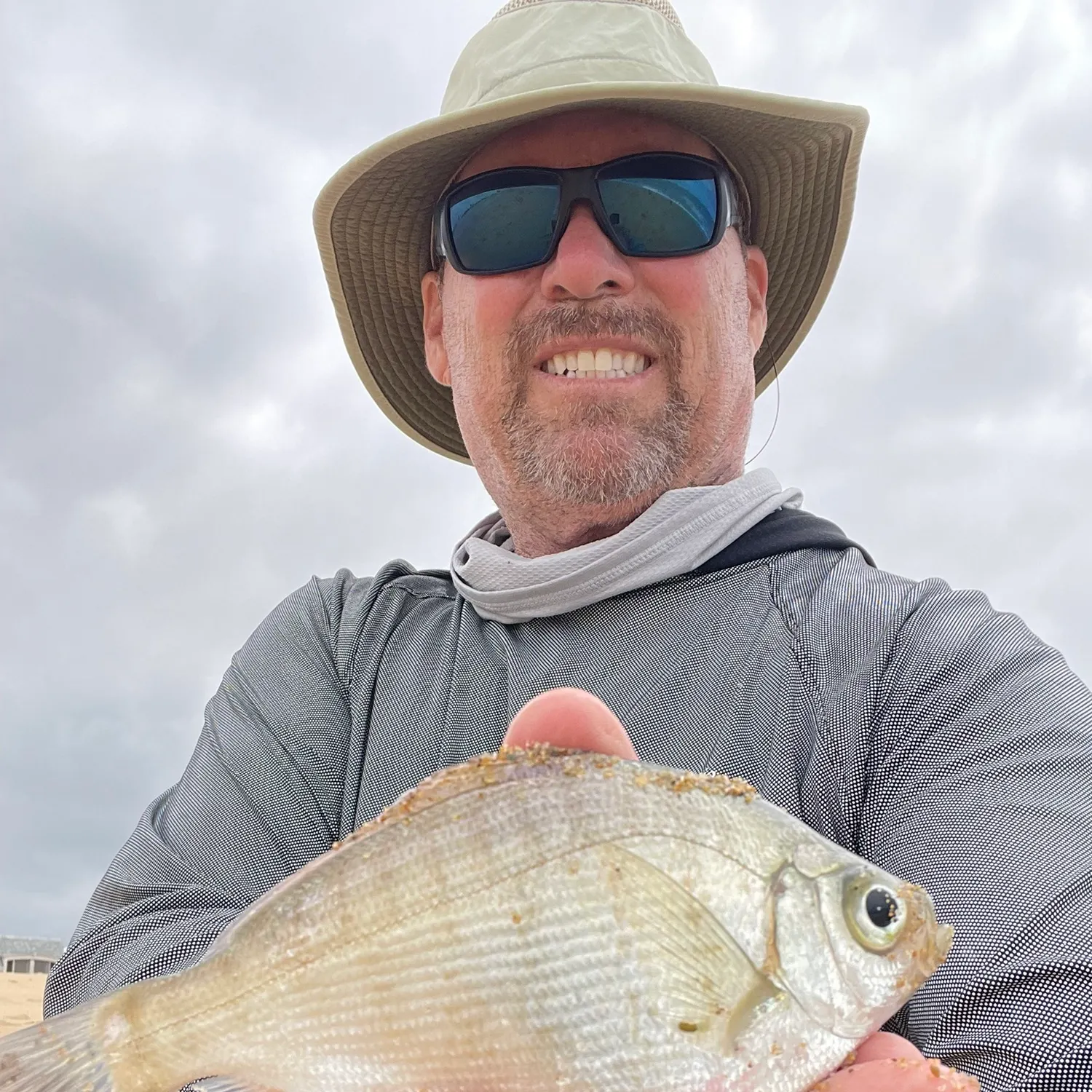 The most recent Walleye surfperch catches on Fishbrain