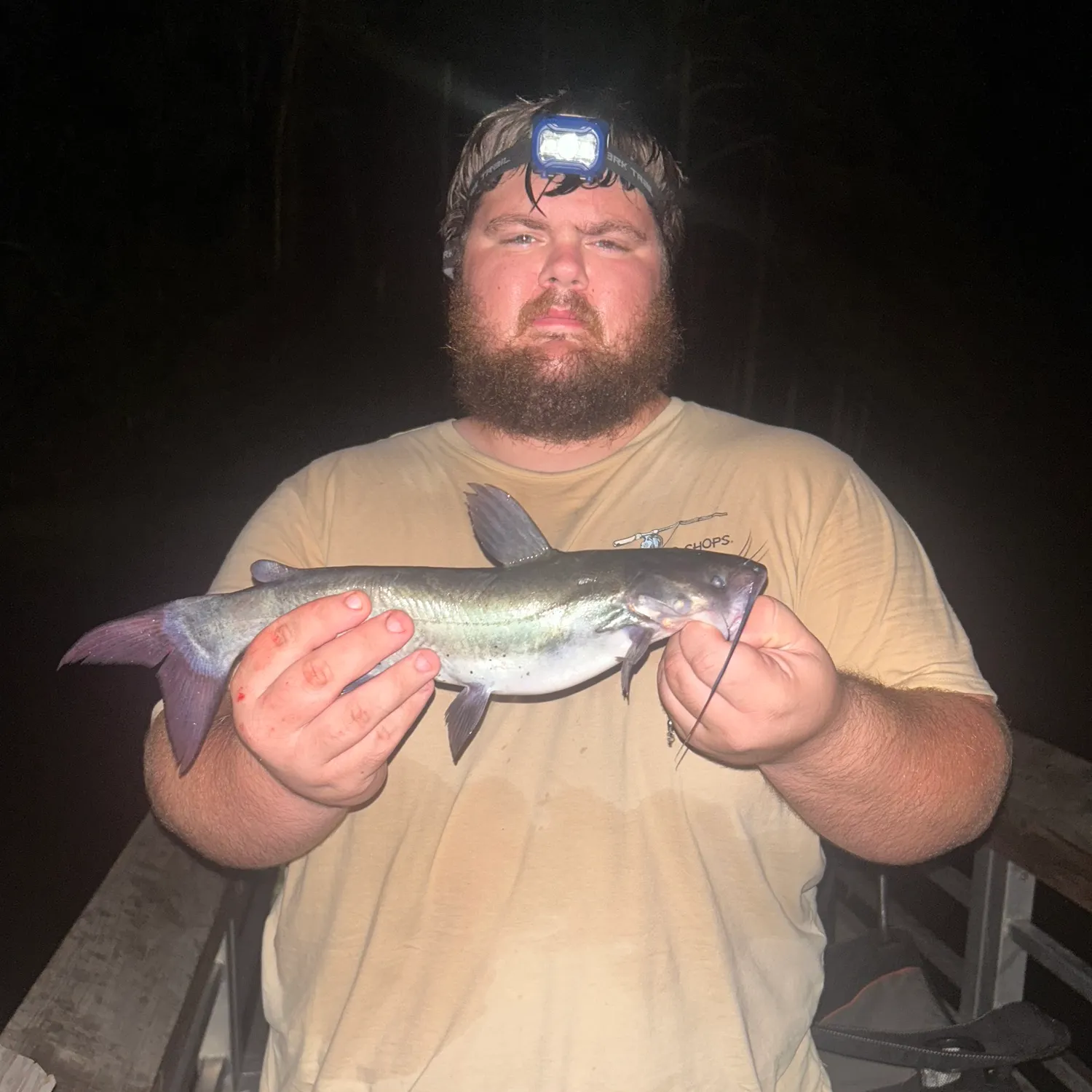 Channel catfish caught on Fishbrain