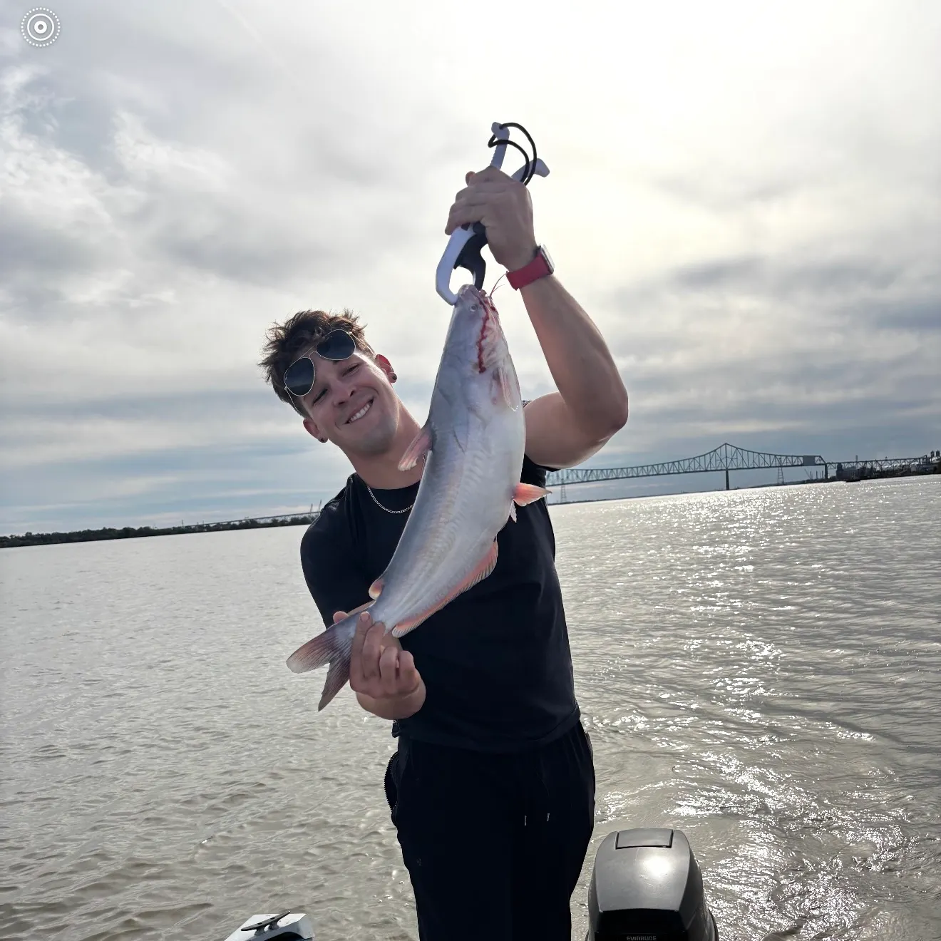 Blue catfish caught on Fishbrain