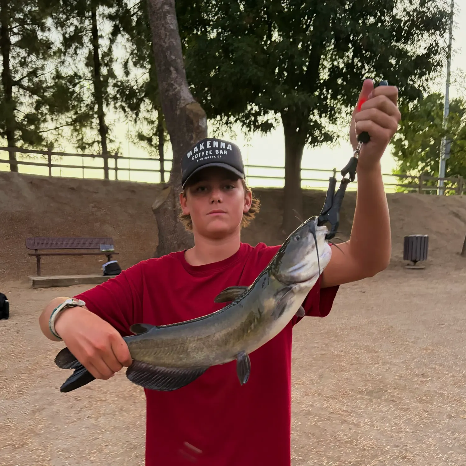 catch