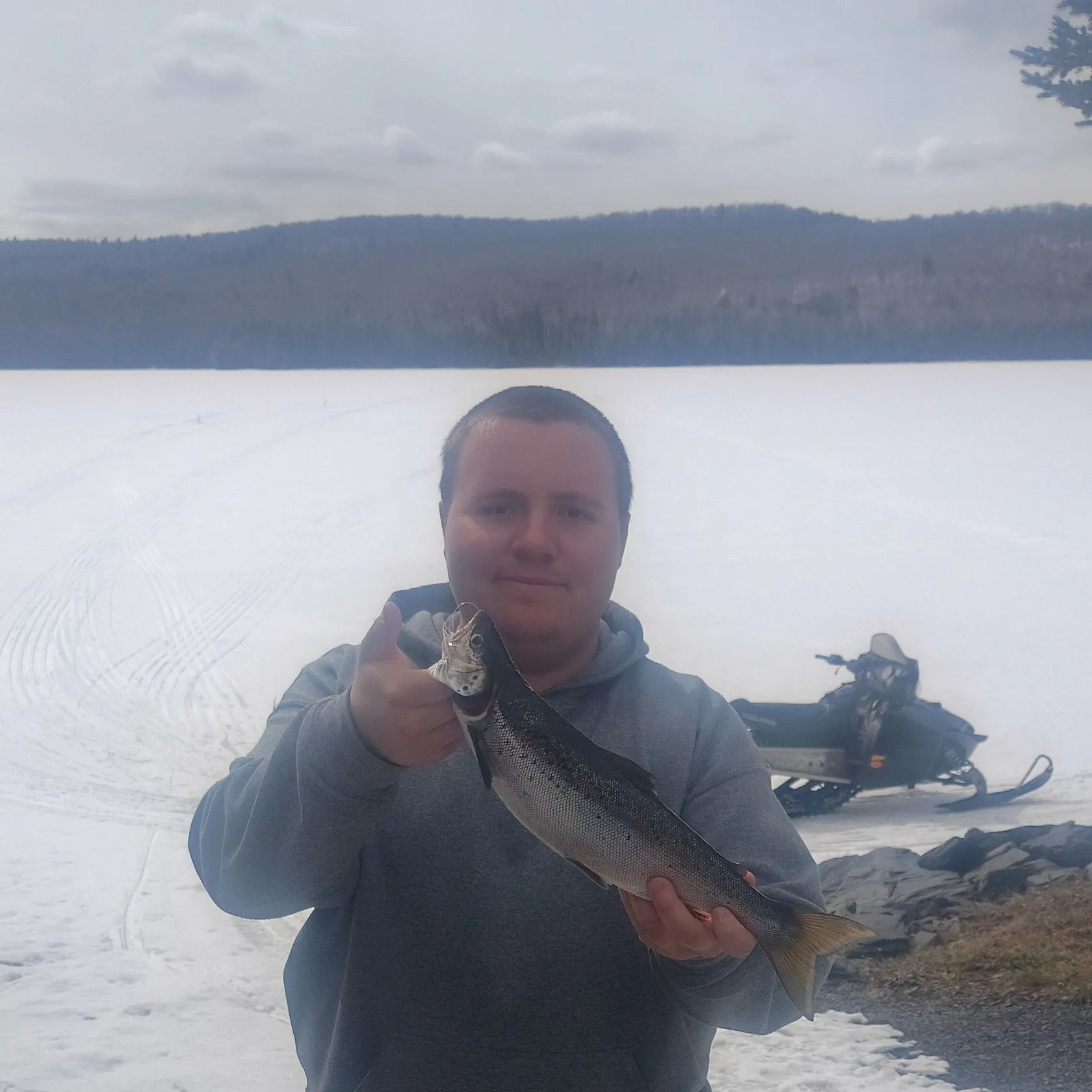 The most recent Landlocked atlantic salmon catches on Fishbrain