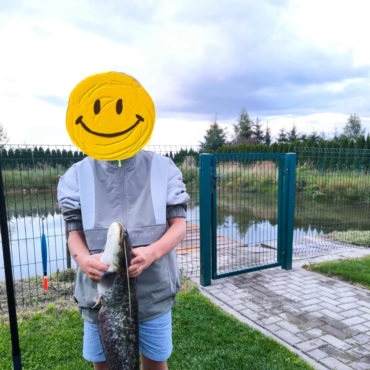 The most recent Wels catfish catches on Fishbrain