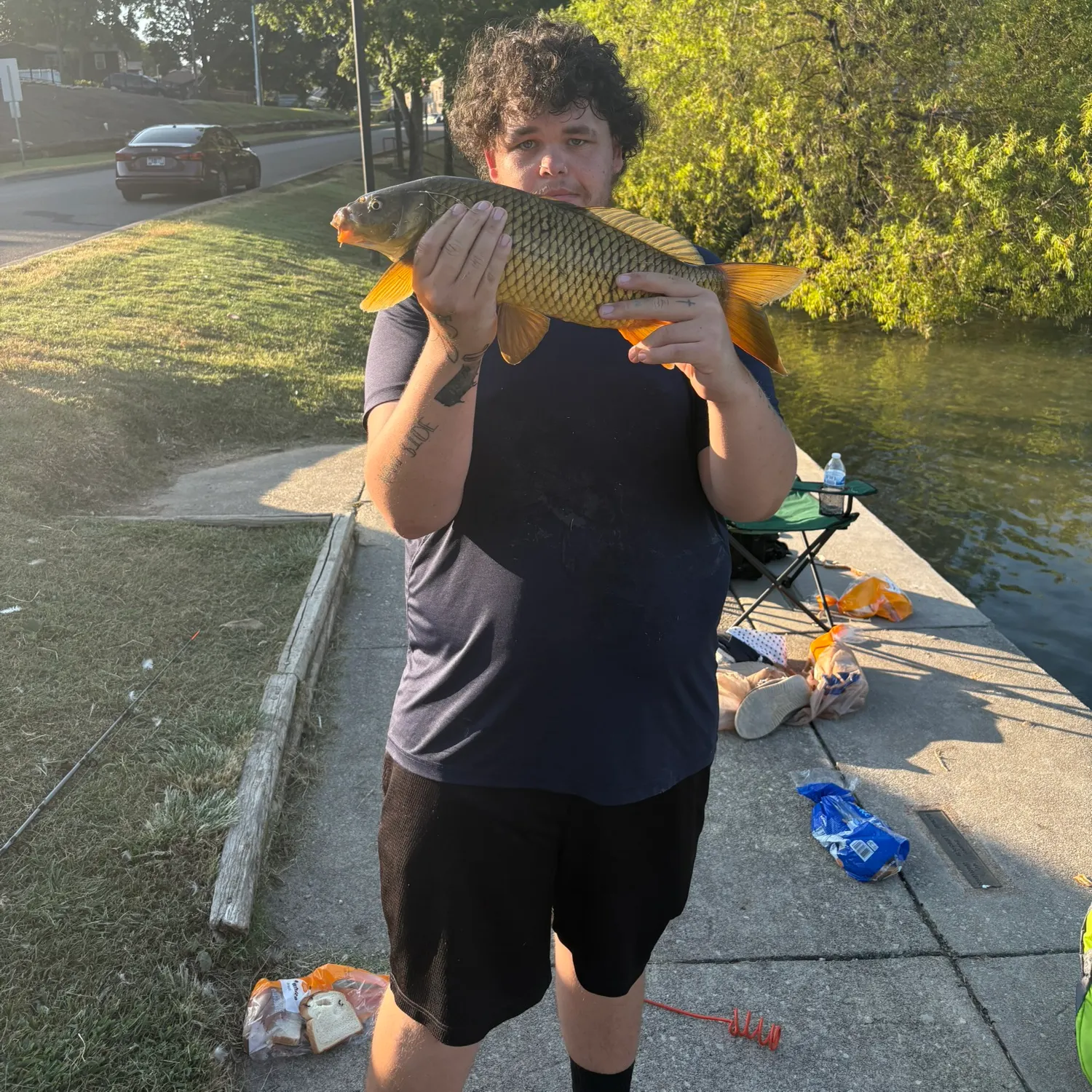 Common carp caught on Fishbrain