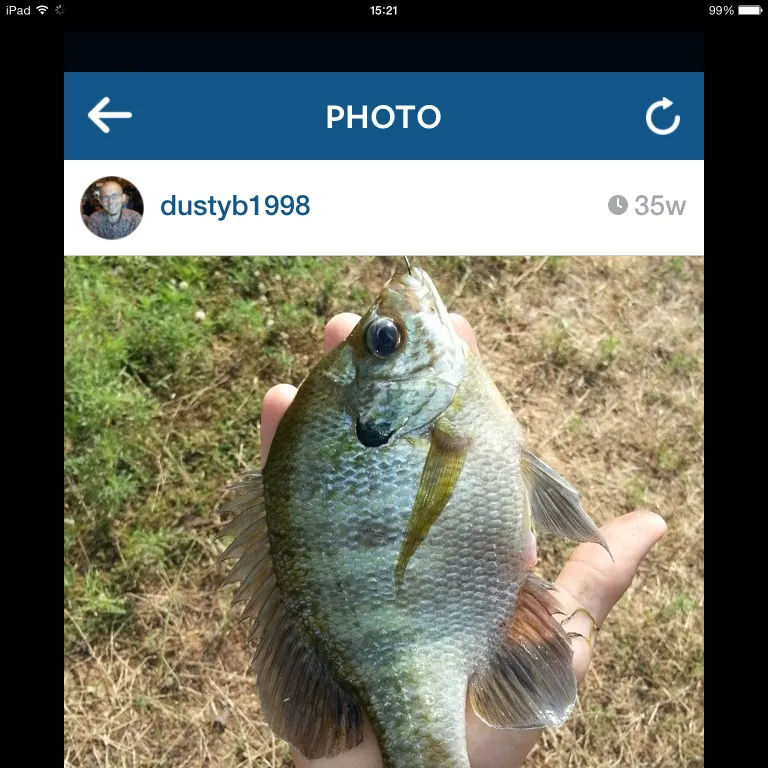 recently logged catches