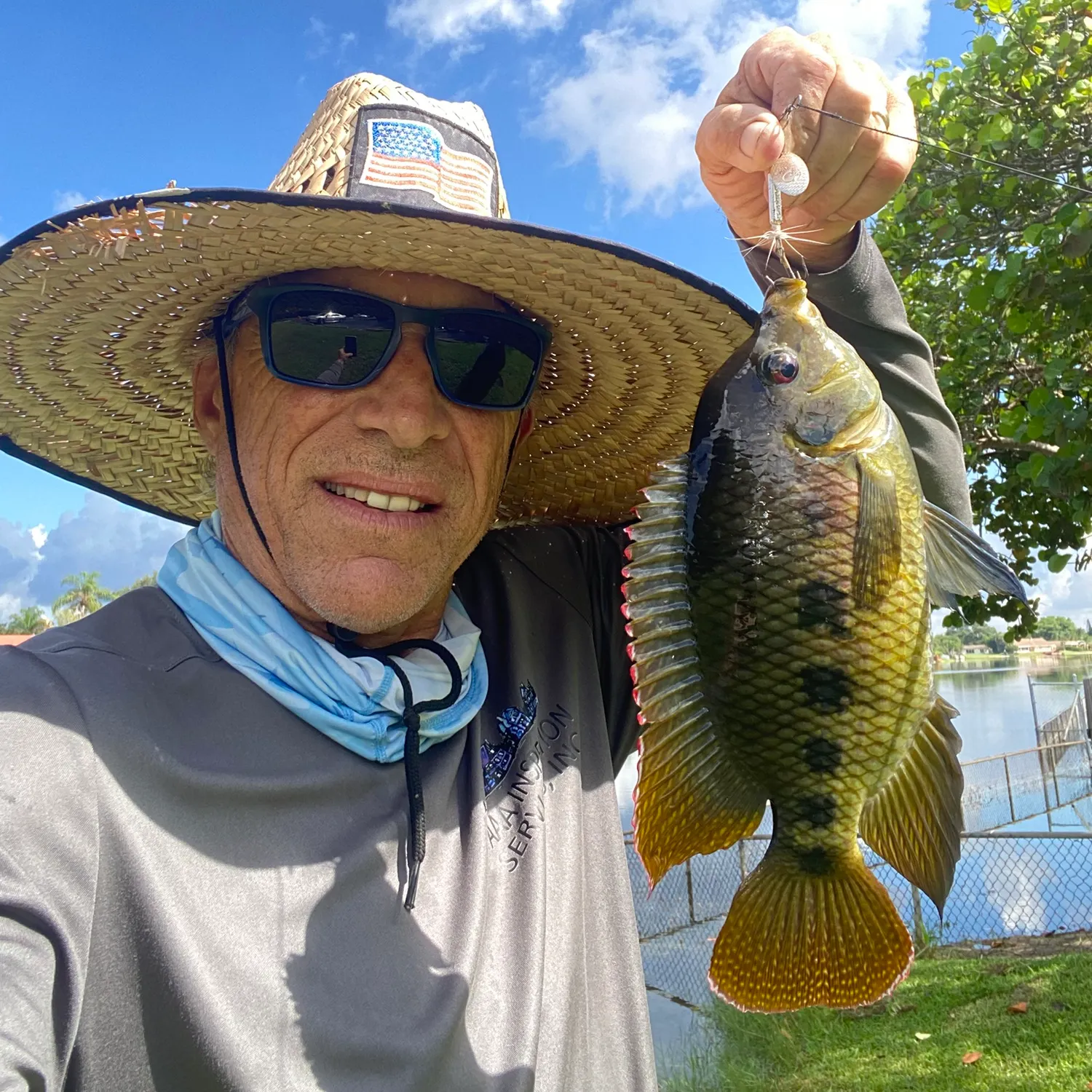 The most recent Spotted tilapia catches on Fishbrain