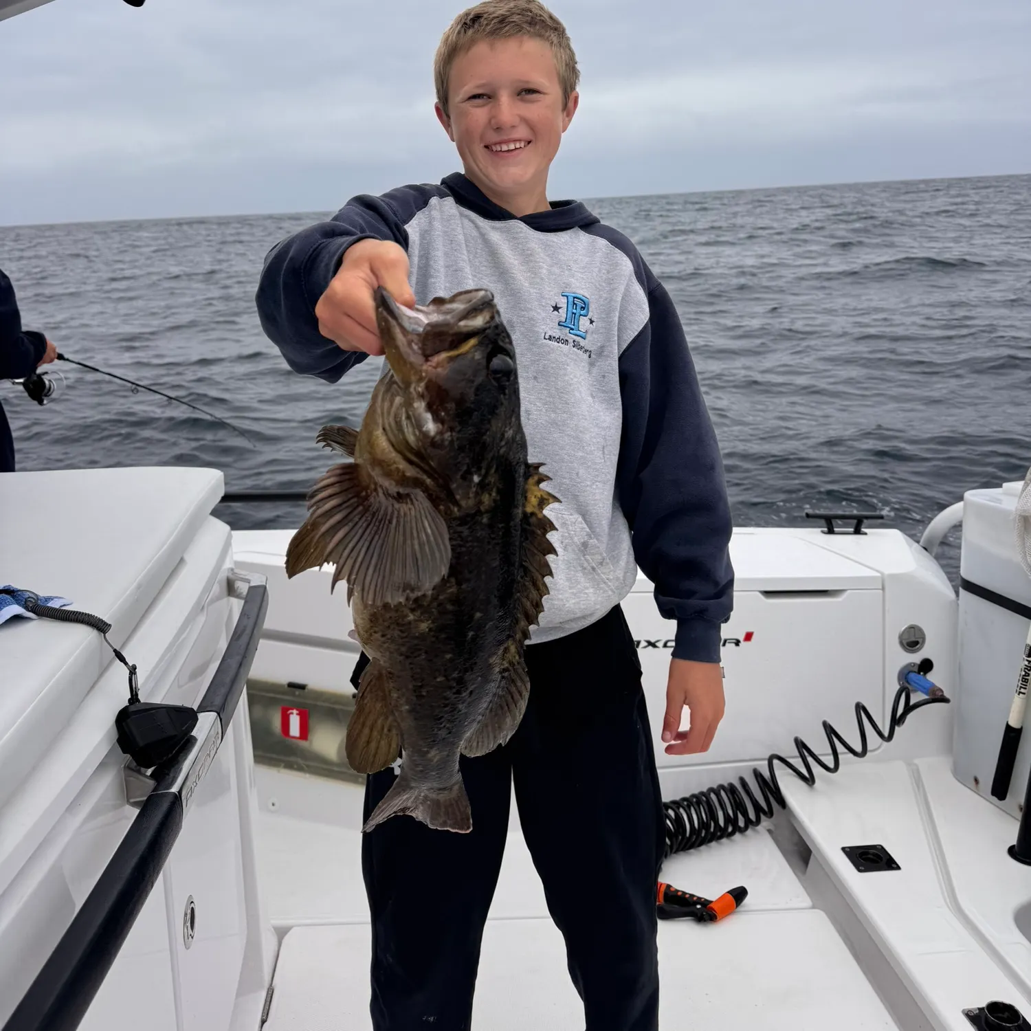 The most recent Grass rockfish catches on Fishbrain