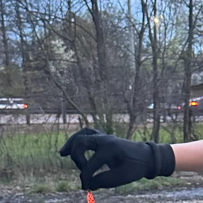 The most recent Striated frogfish catches on Fishbrain