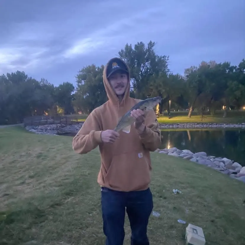 Walleye caught on Fishbrain