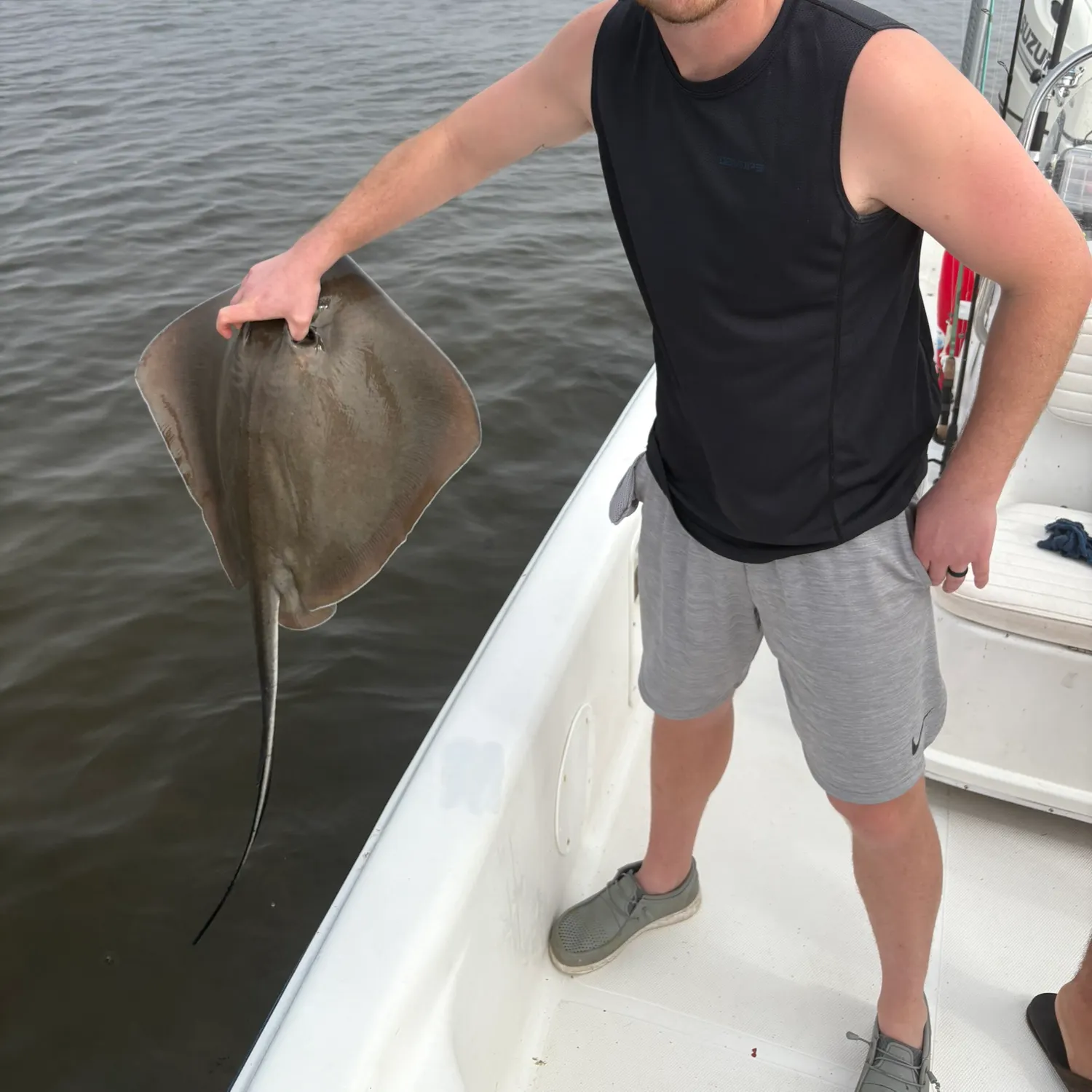 The most recent Southern stingray catches on Fishbrain