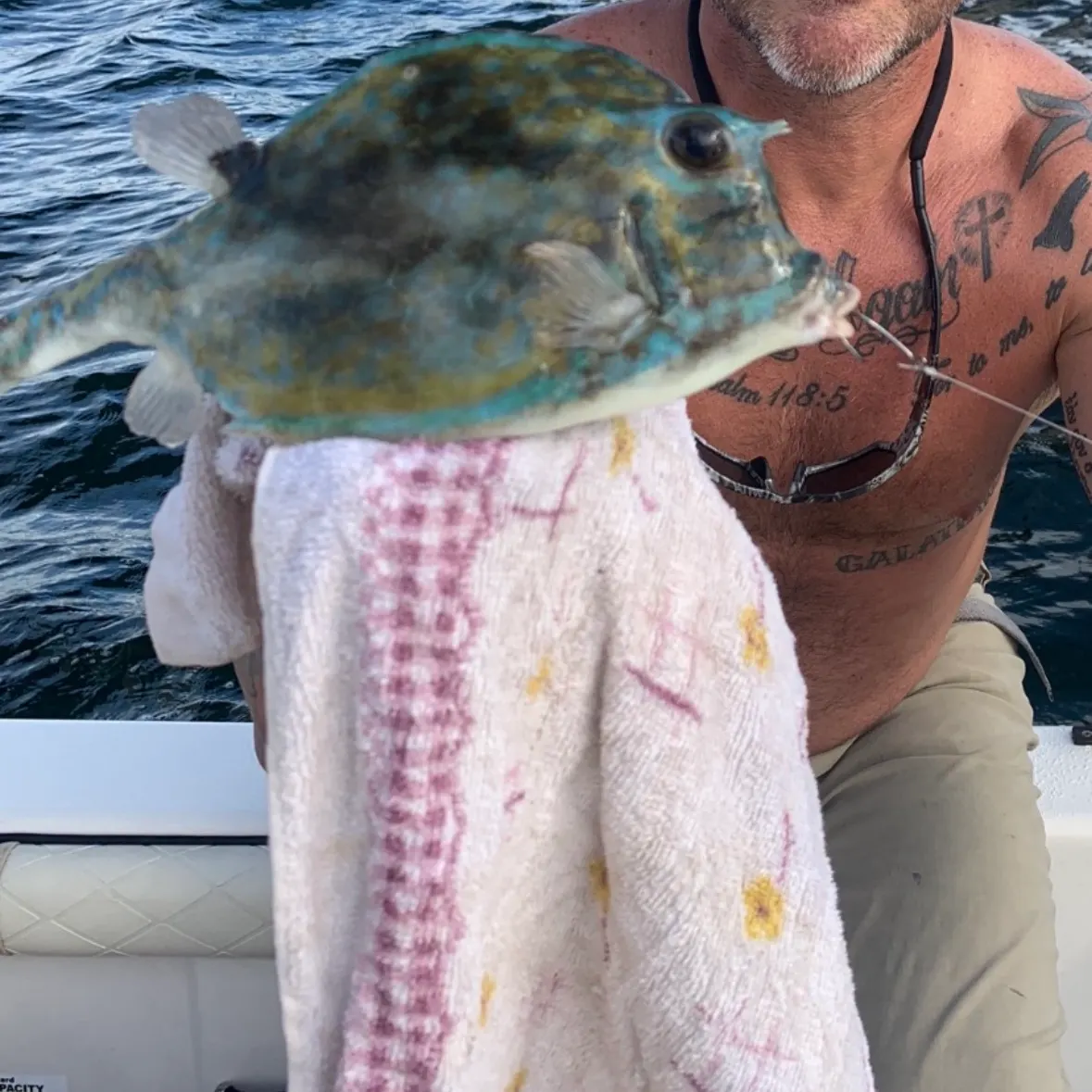 recently logged catches