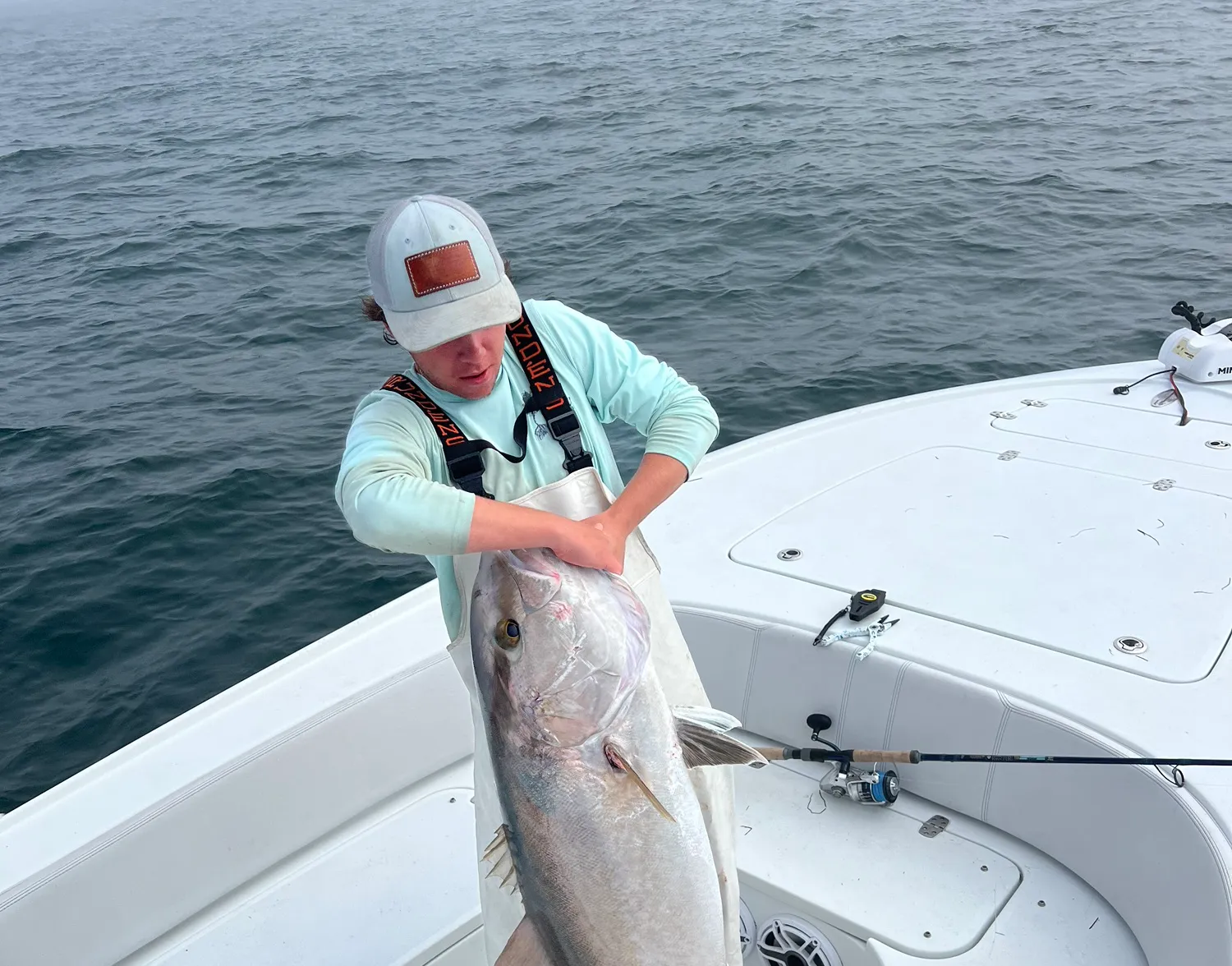 Greater amberjack