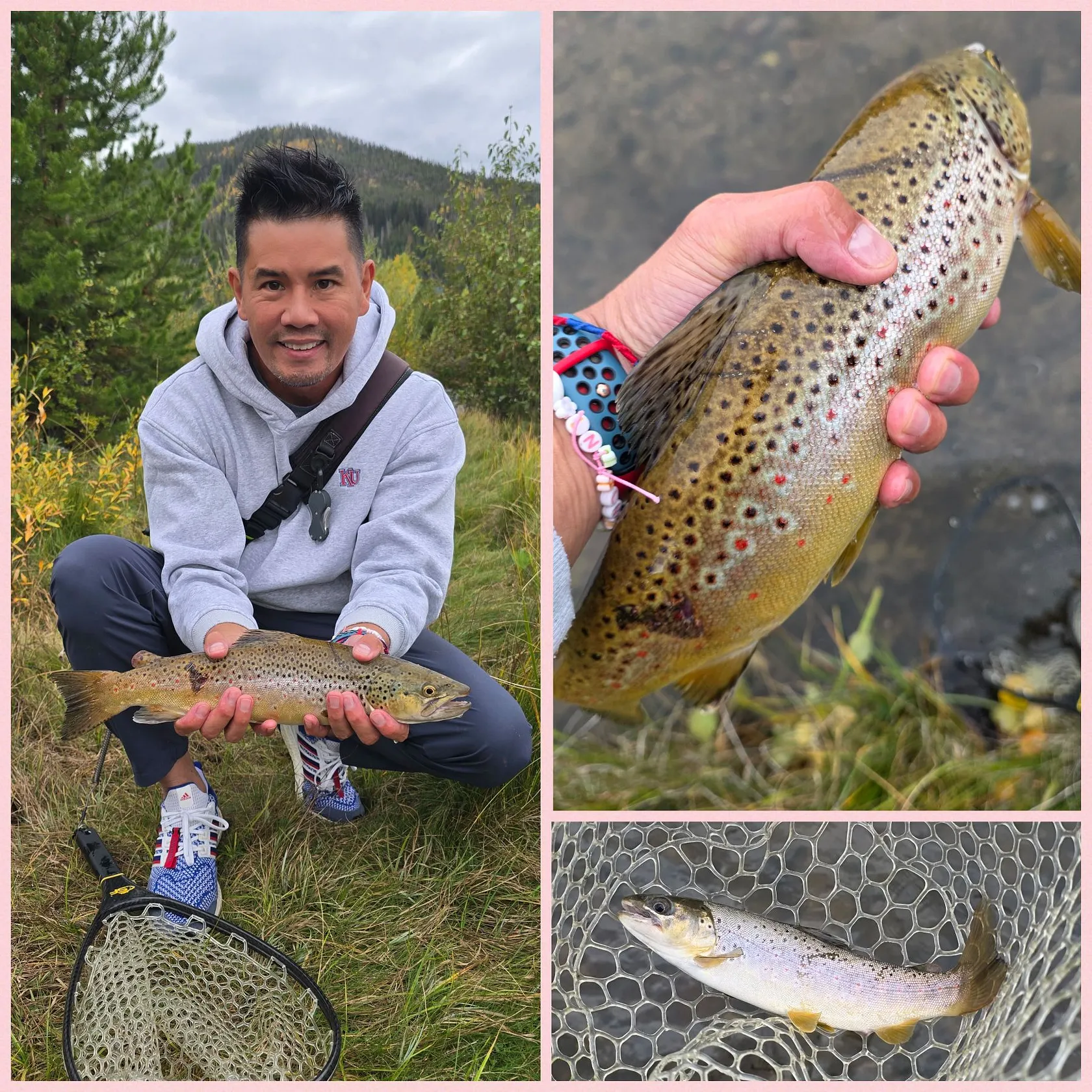 Brown trout caught on Fishbrain