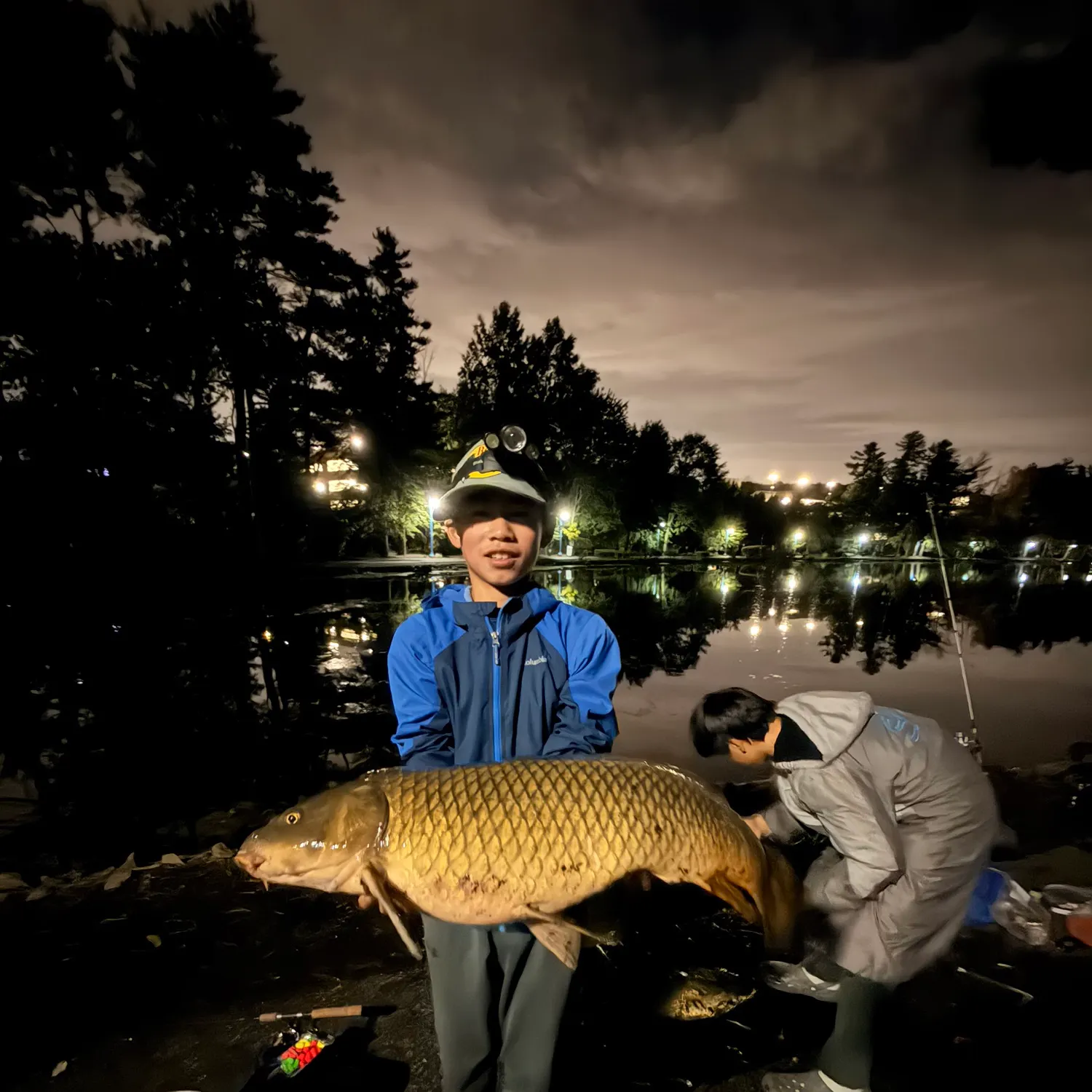Common carp caught on Fishbrain
