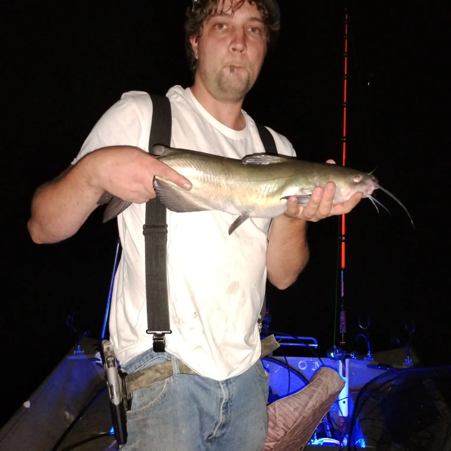 Channel catfish caught on Fishbrain