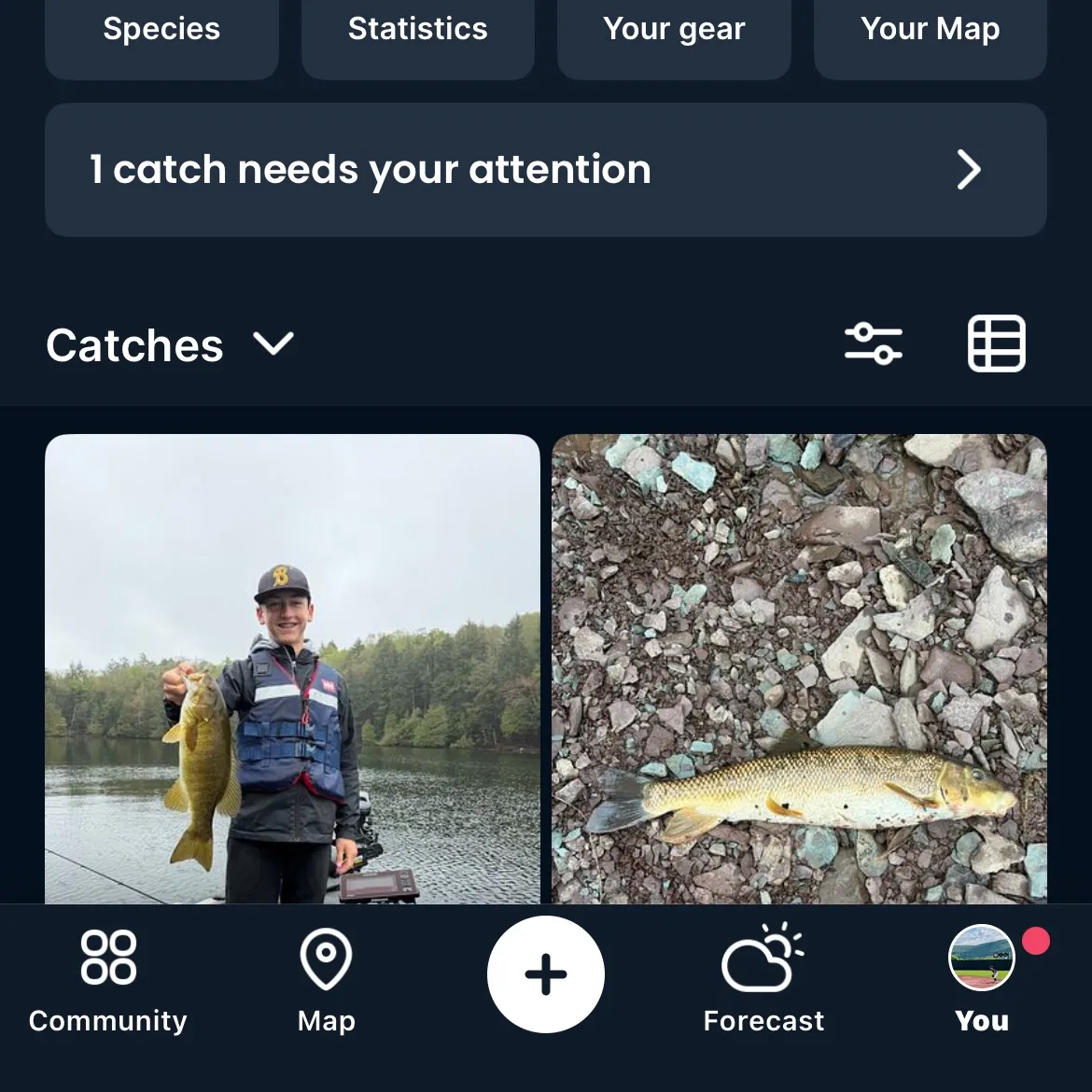 recently logged catches