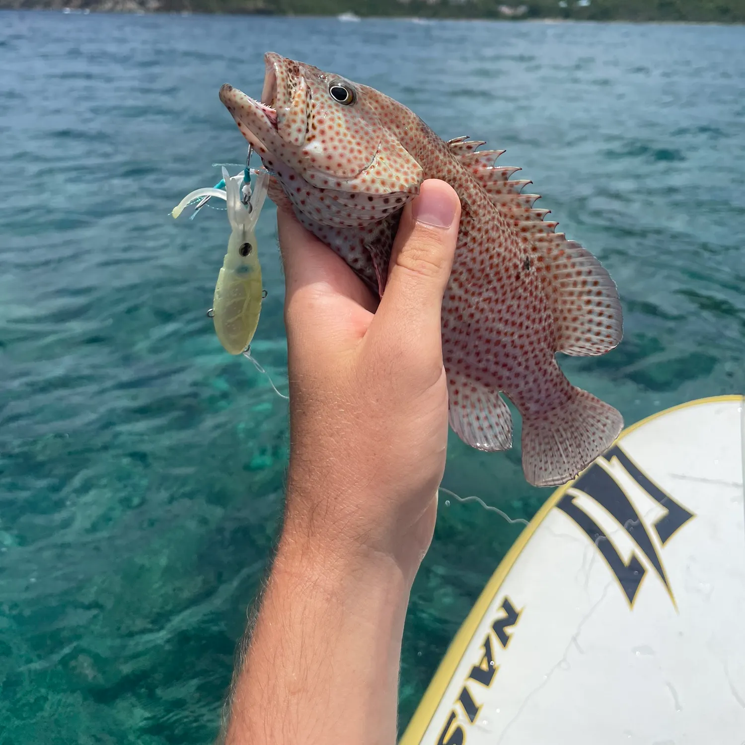 most liked catch image