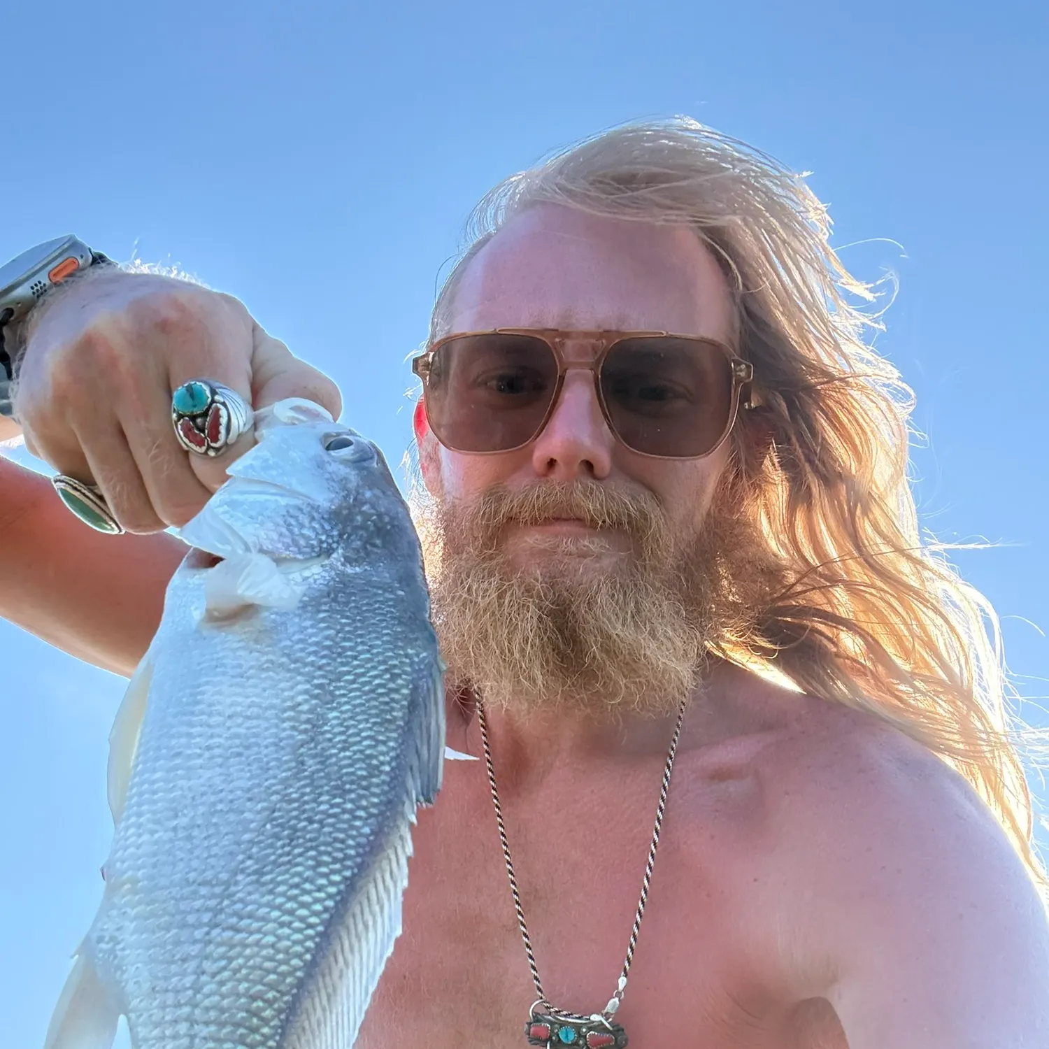 Freshwater drum caught on Fishbrain