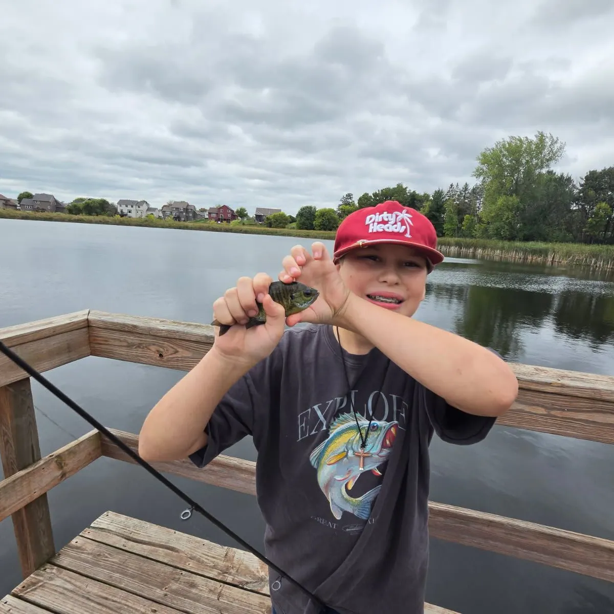 Bluegill caught on Fishbrain