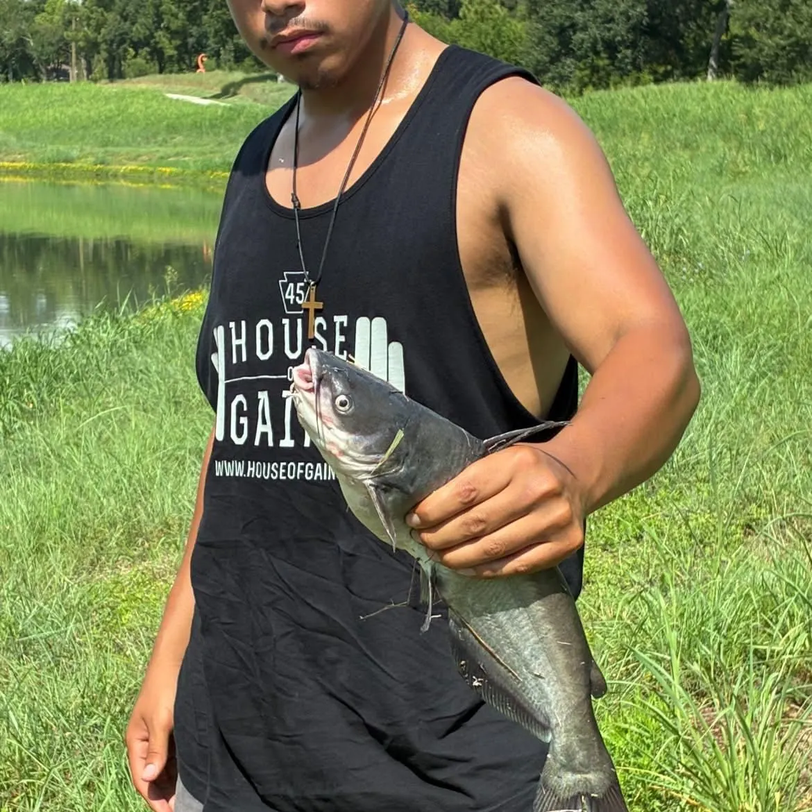 Blue catfish caught on Fishbrain