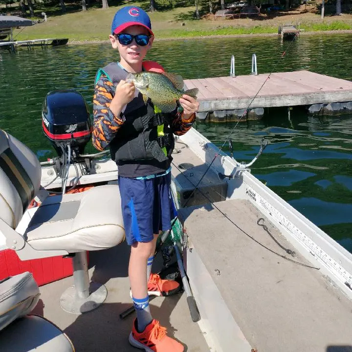 The most recent Black crappie catches on Fishbrain