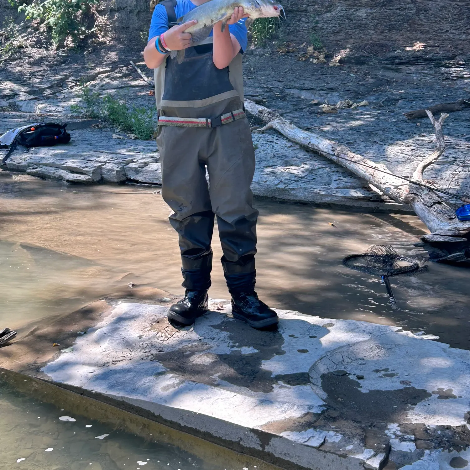 The most recent Bighead carp catches on Fishbrain