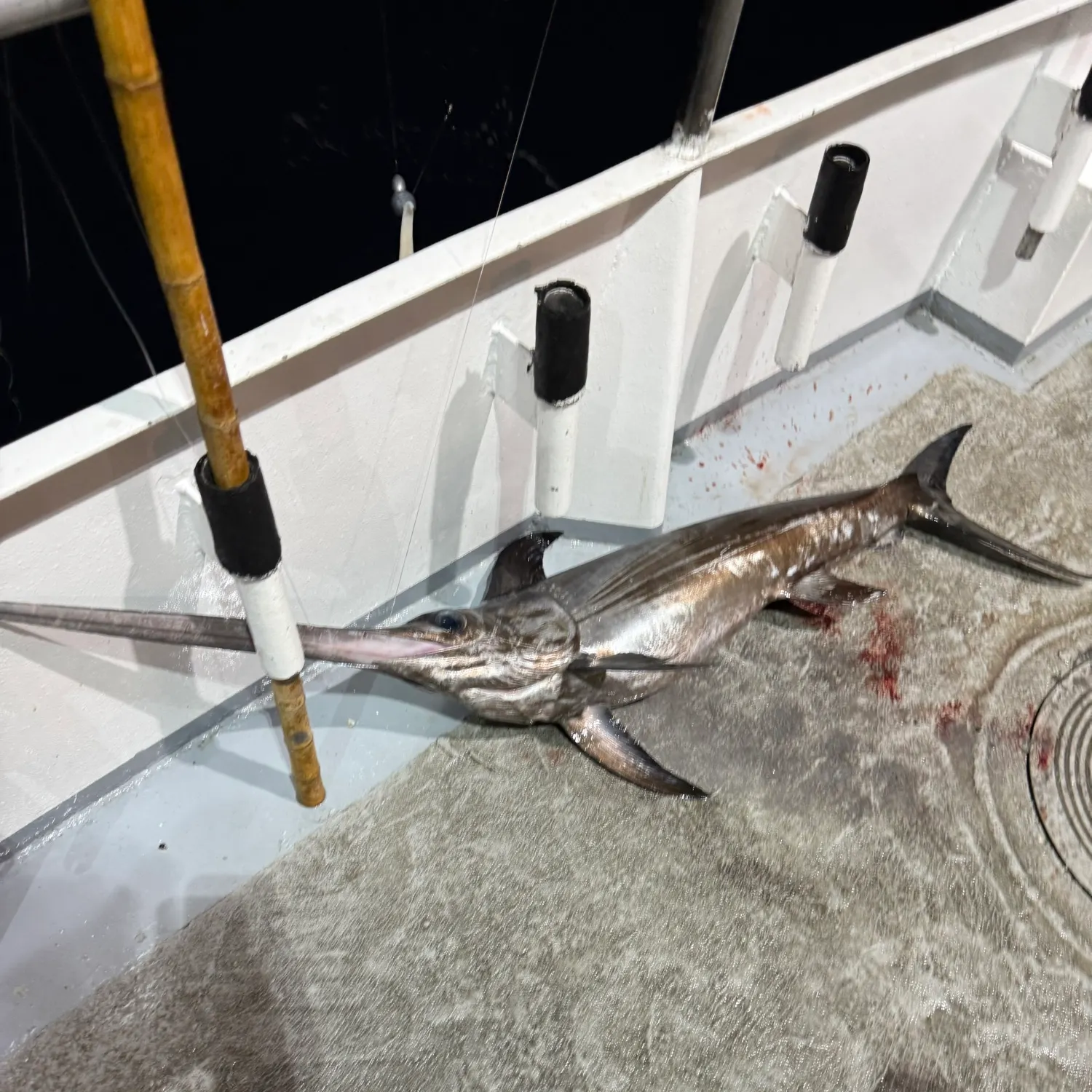 Swordfish caught on Fishbrain