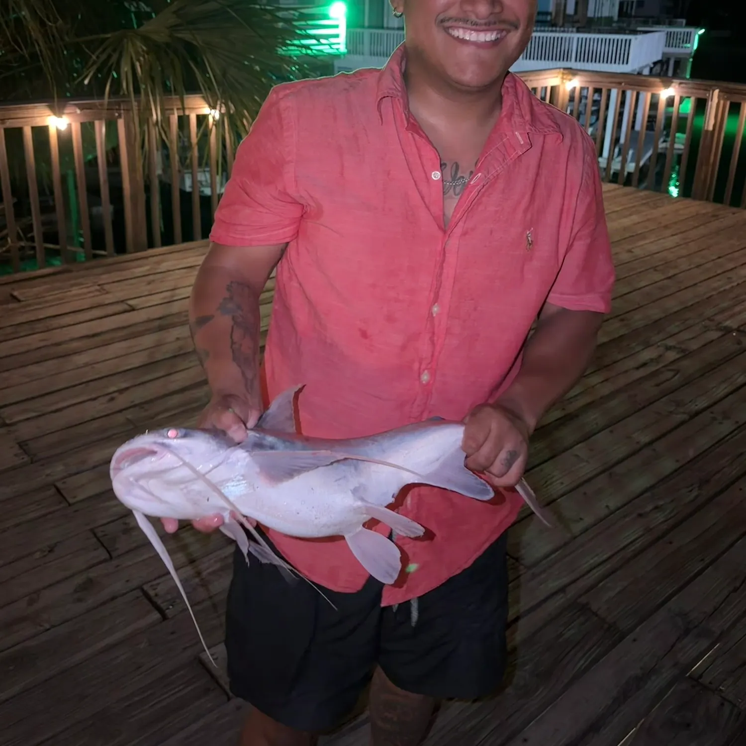 Gafftopsail sea catfish caught on Fishbrain