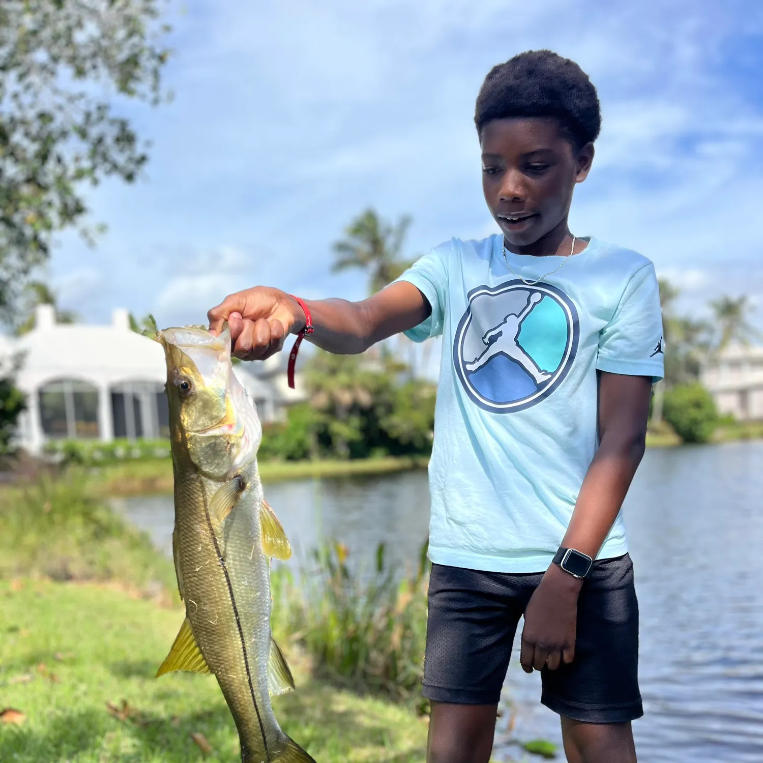 The most recent Common snook catches on Fishbrain