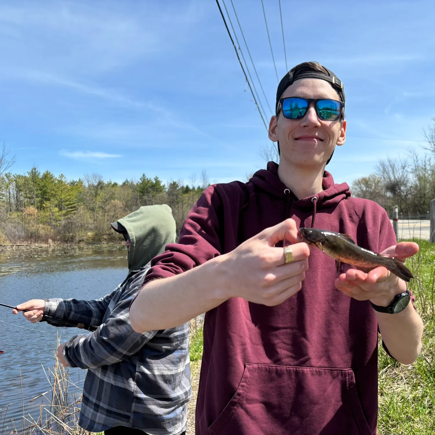 The most recent Brown bullhead catches on Fishbrain