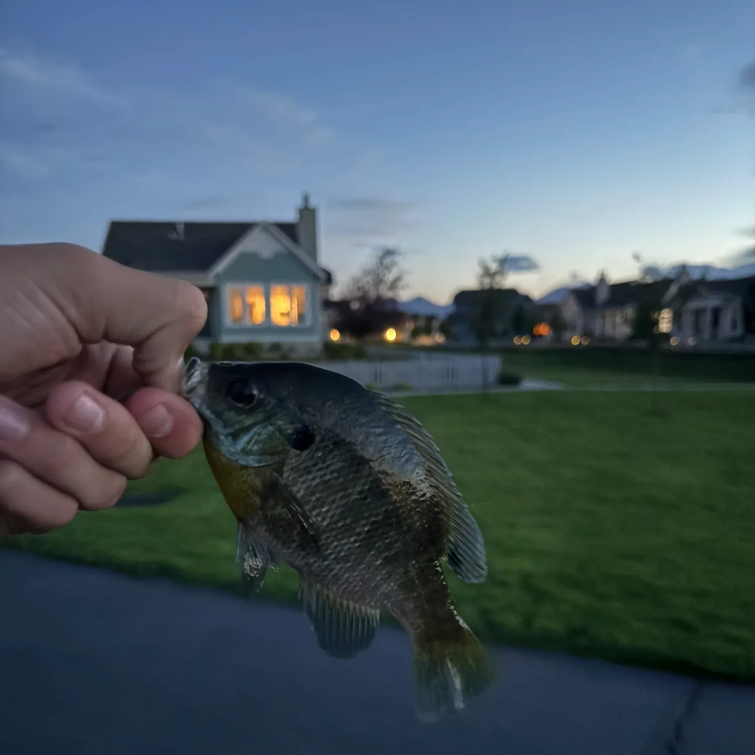 catch