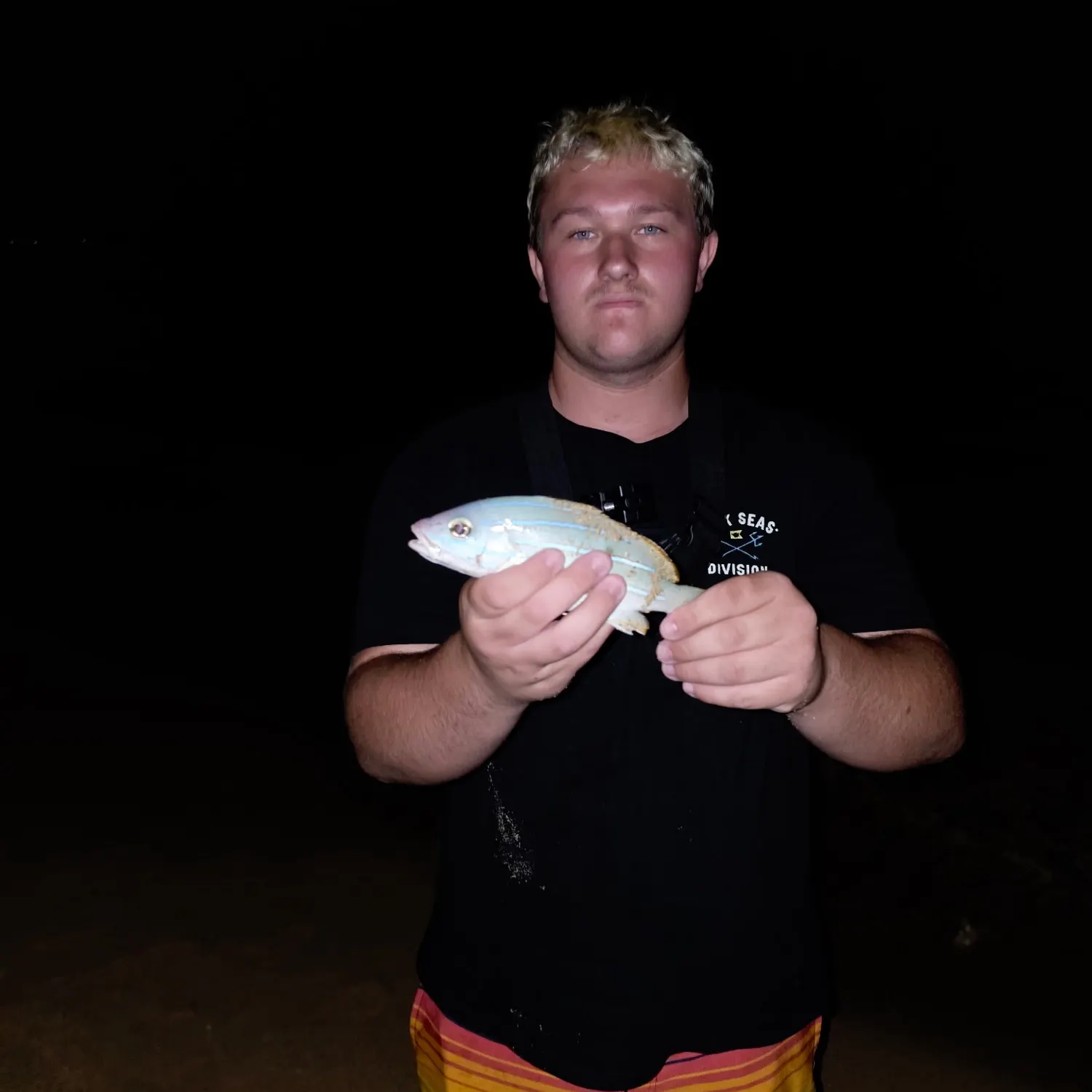 Bluestriped grunt caught on Fishbrain