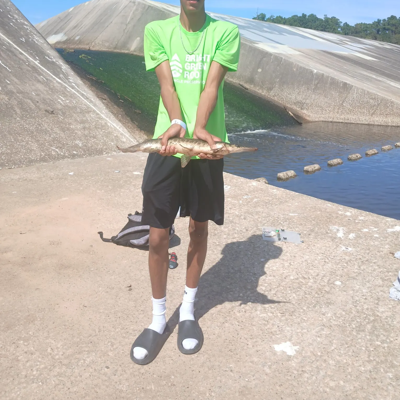 The most recent Shortnose gar catches on Fishbrain