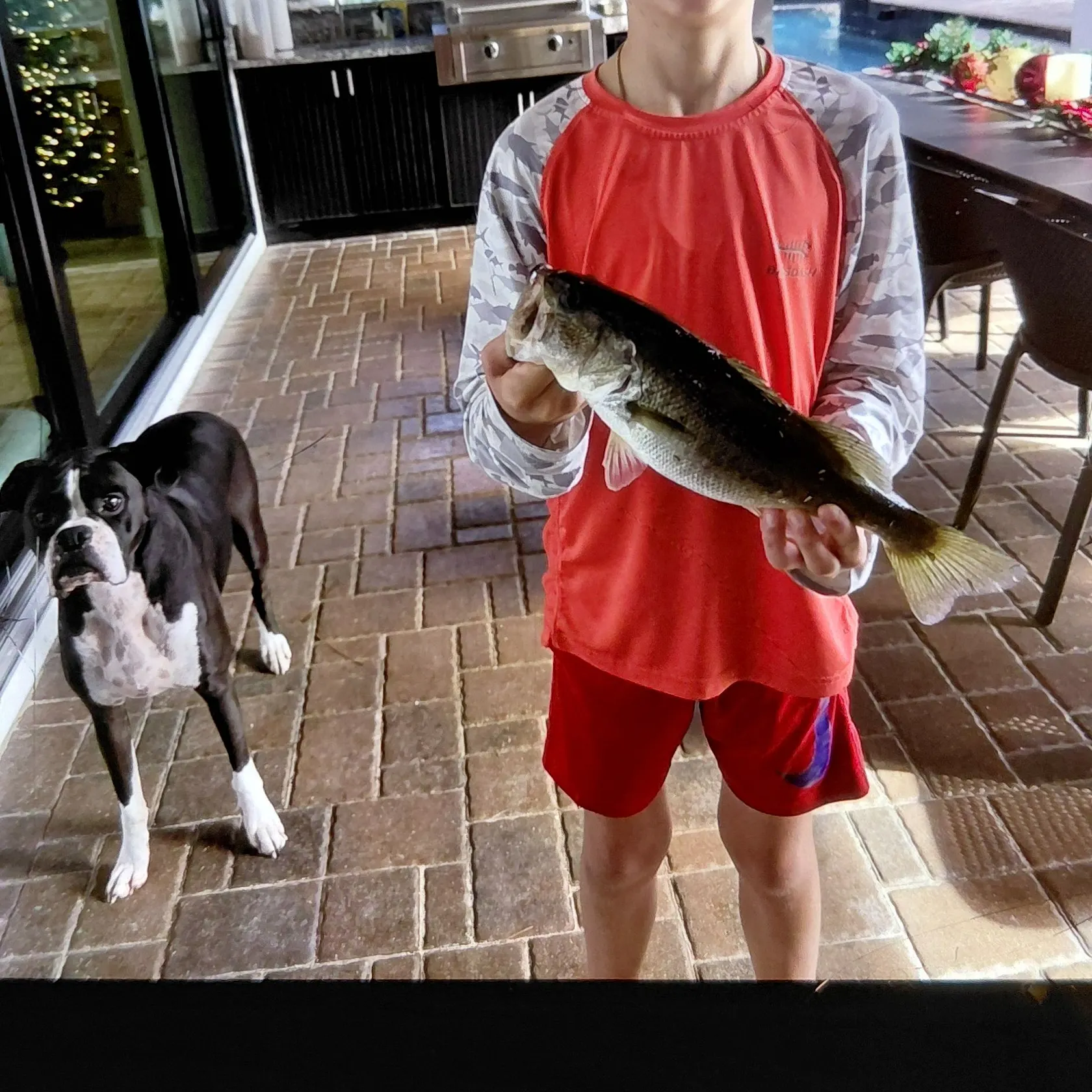 Florida bass caught on Fishbrain