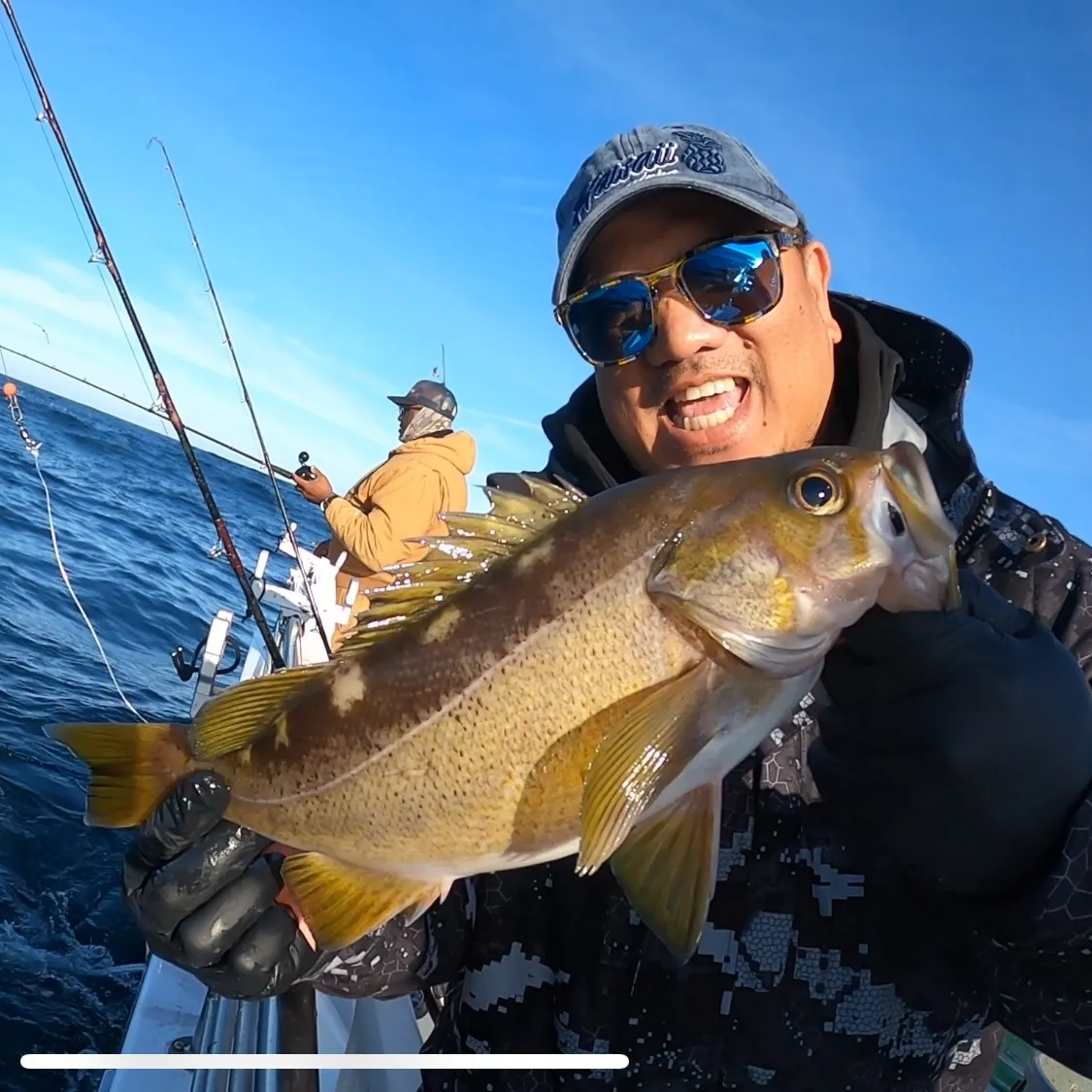 The most recent Olive rockfish catches on Fishbrain