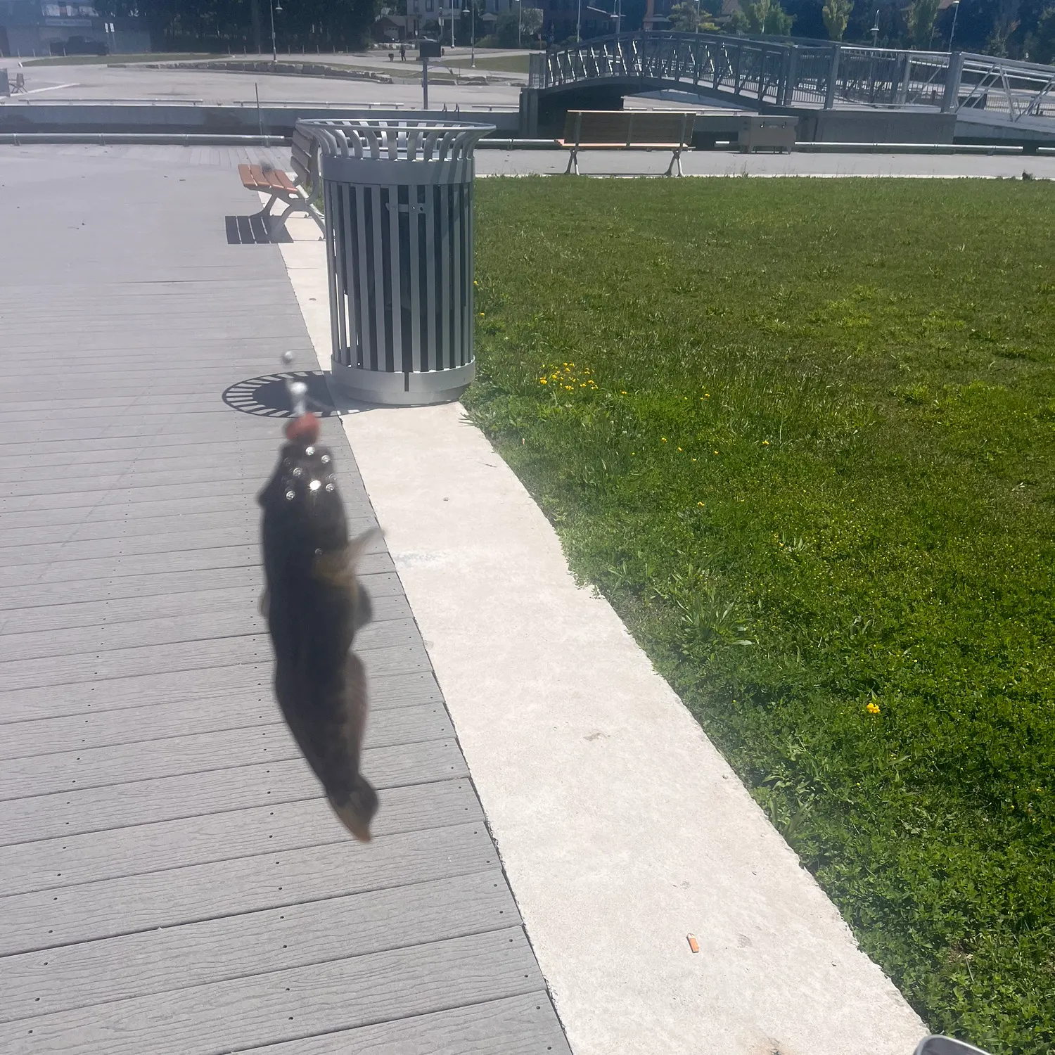 catch