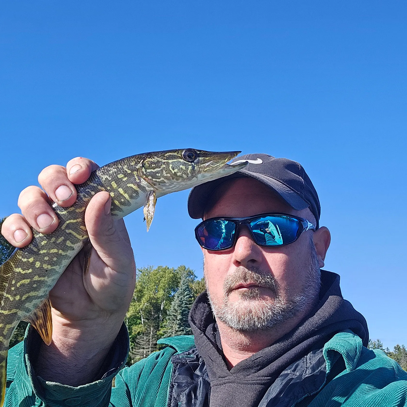 Northern pike caught on Fishbrain