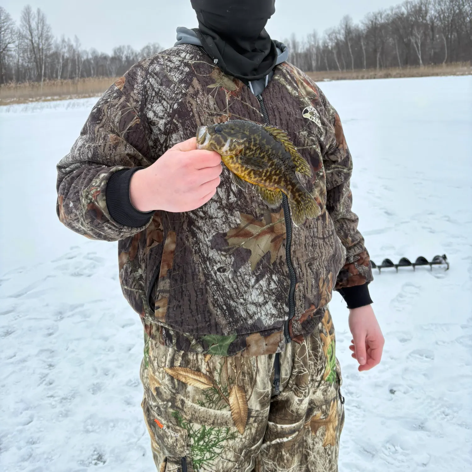 The most recent Warmouth catches on Fishbrain