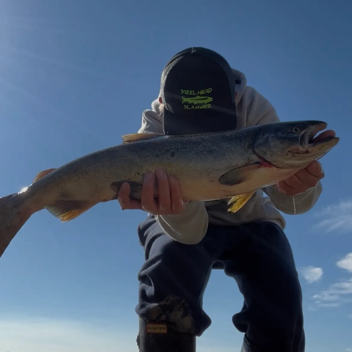 Chinook salmon caught on Fishbrain